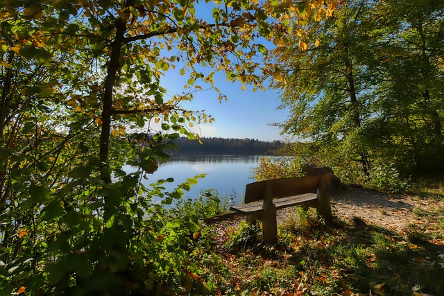 冠而在国内 冠而在国内
