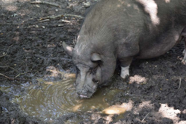 攻过程中展 攻过程中展