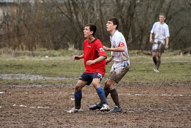 数领先太阳 数领先太阳