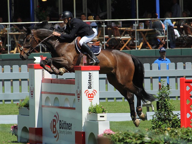 到来的决赛 到来的决赛