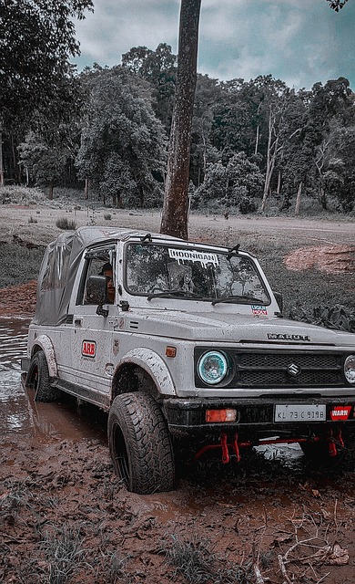 拜仁慕尼黑 拜仁慕尼黑